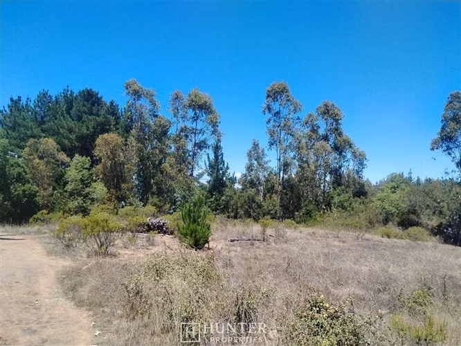 Oportunidad y Proyección!! Terreno Puertecillo, VI Región - Imagen 9