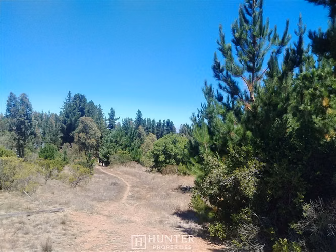 Oportunidad y Proyección!! Terreno Puertecillo, VI Región - Imagen 3