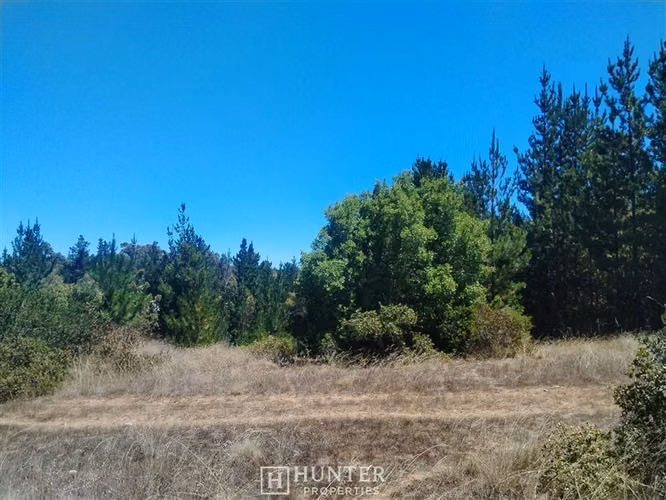 Oportunidad y Proyección!! Terreno Puertecillo, VI Región - Imagen 7