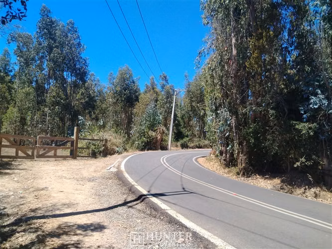 Oportunidad y Proyección!! Terreno Puertecillo, VI Región - Imagen 12