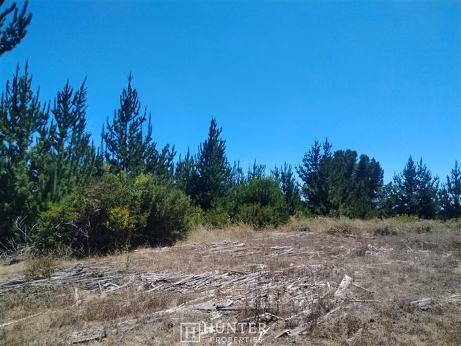 Oportunidad y Proyección!! Terreno Puertecillo, VI Región - Imagen 5