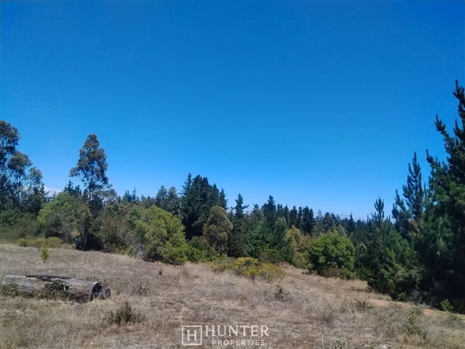 Oportunidad y Proyección!! Terreno Puertecillo, VI Región - Imagen 6