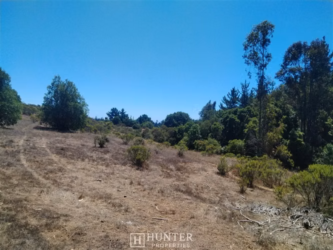 Oportunidad y Proyección!! Terreno Puertecillo, VI Región - Imagen 10