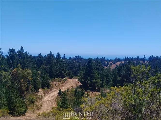 Oportunidad y Proyección!! Terreno Puertecillo, VI Región