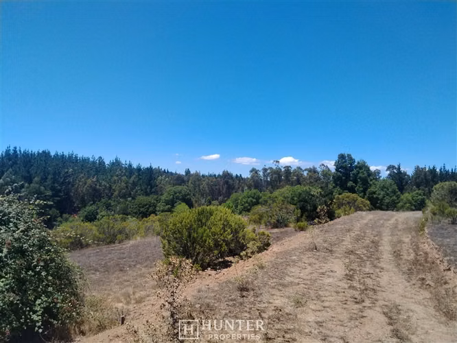 Oportunidad y Proyección!! Terreno Puertecillo, VI Región - Imagen 2