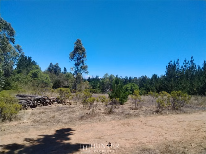 Oportunidad y Proyección!! Terreno Puertecillo, VI Región - Imagen 8