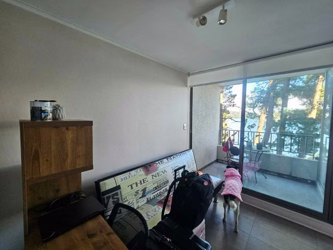 Venta Departamento 2D 2B 1E 1Bodega  (115014) - Imagen 13