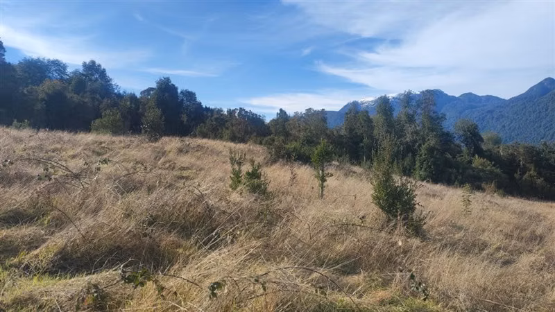 Parcela en venta en Puerto Varas