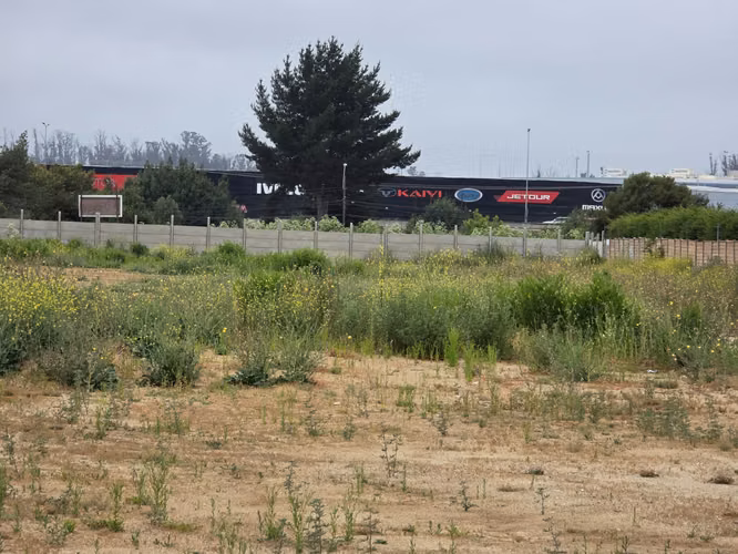 Venta Sitio Curauma