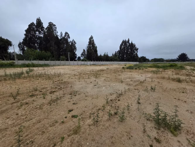Venta Sitio Curauma