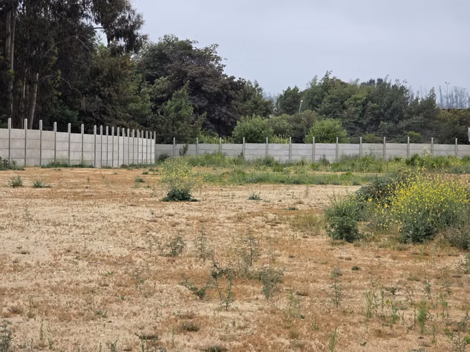 Venta Sitio Curauma