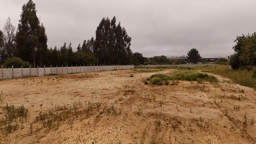 Venta Sitio Curauma