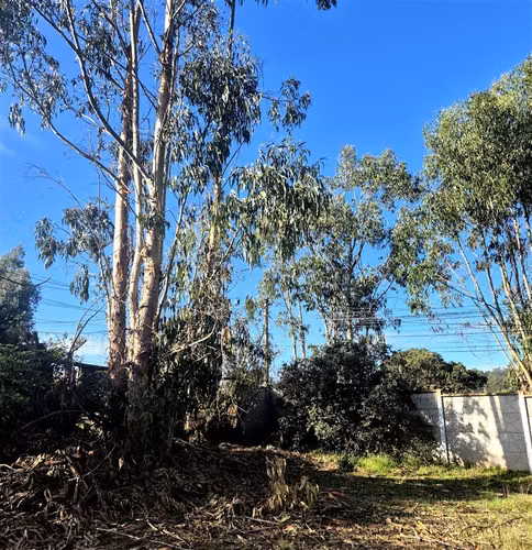 Sitio en Condominio en Algarrobo