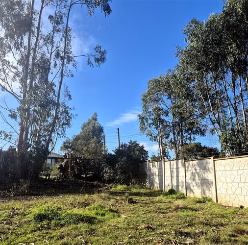 Sitio en Condominio en Algarrobo