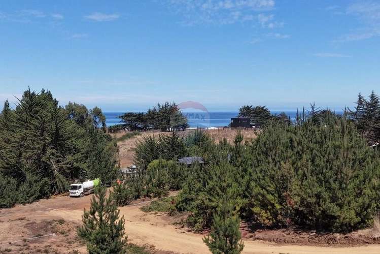 Casas 2d/1b sitios 800m2 alto punta de lobos - Imagen 11