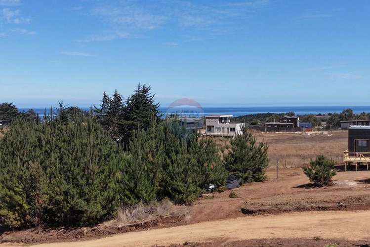 Casas 2d/1b sitios 800m2 alto punta de lobos - Imagen 13