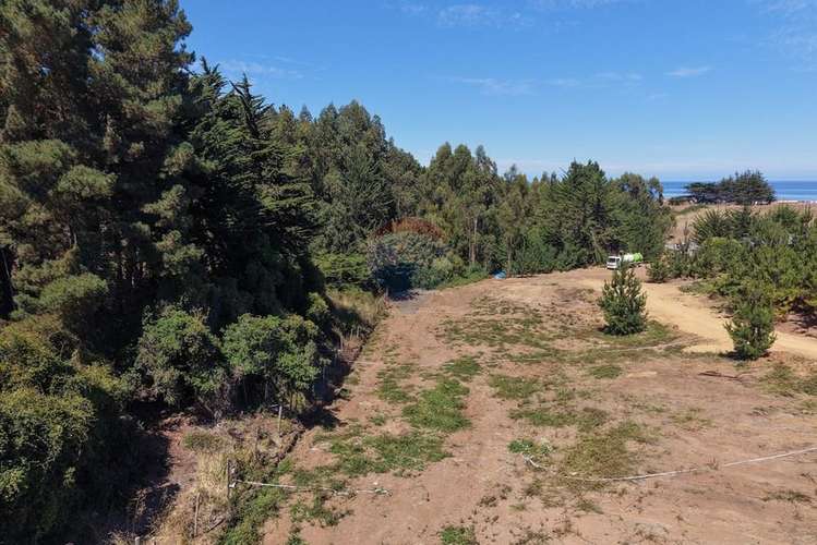 Casas 2d/1b sitios 800m2 alto punta de lobos - Imagen 3