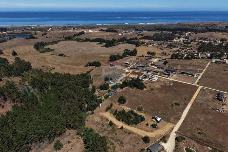 Casas 2d/1b sitios 800m2 alto punta de lobos - Imagen 30