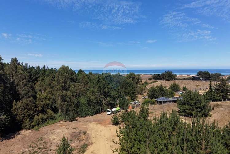 Casas 2d/1b sitios 800m2 alto punta de lobos - Imagen 21