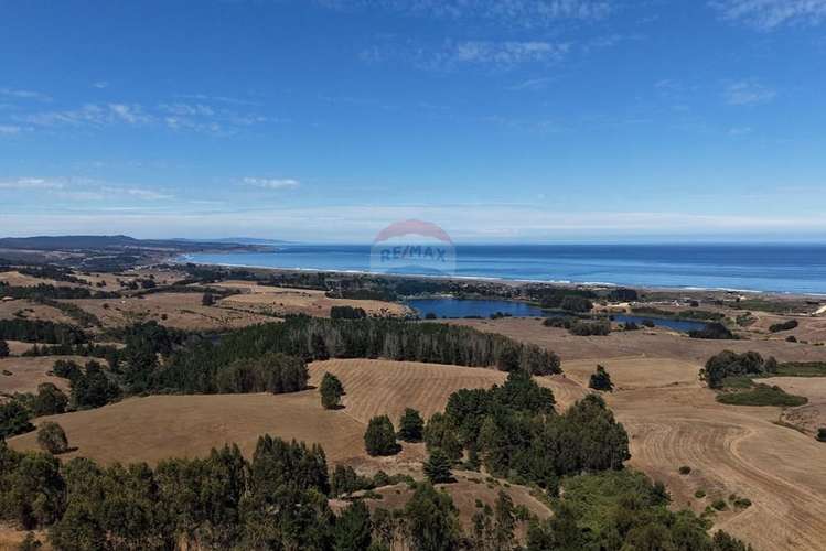 Casas 2d/1b sitios 800m2 alto punta de lobos - Imagen 14