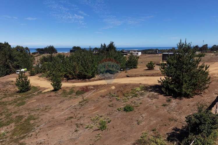 Casas 2d/1b sitios 800m2 alto punta de lobos - Imagen 2