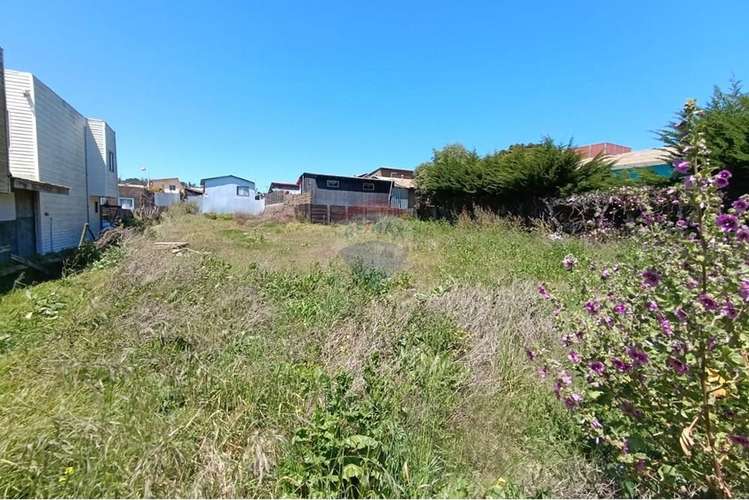 Terreno 855 m2 plano infiernillo pichilemu - Imagen 26
