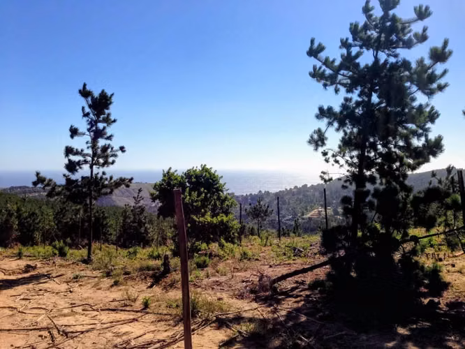 VENTA DE TERRENO PLANO EN ALTURA CON VISTAS AL MAR - LAGUNA VERDE