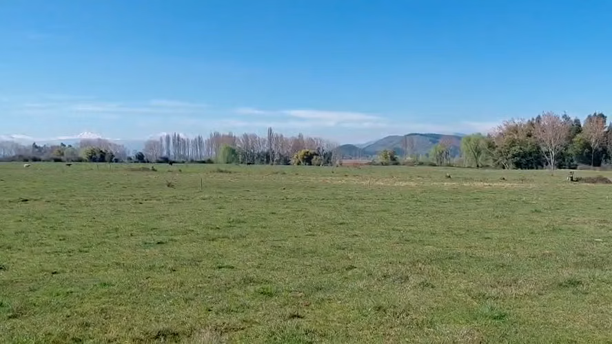 TERRENO AGRÍCOLA EN VENTA, CAMPO DE 20 HA PELARCO - Imagen 9