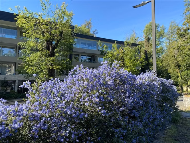 EN VENTA 2D/2B PUCÓN | VISTA BOSQUE | ESTAC. + BODEGA - Imagen 24