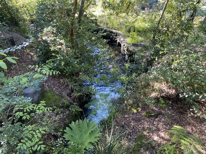 EN VENTA 2D/2B PUCÓN | VISTA BOSQUE | ESTAC. + BODEGA - Imagen 19