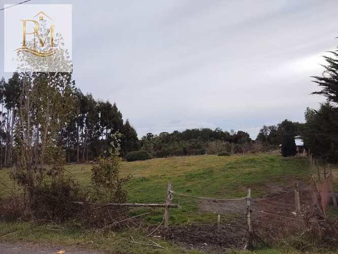 Se vende 1 Hectárea luz agua instalada Curaco de Vélez
