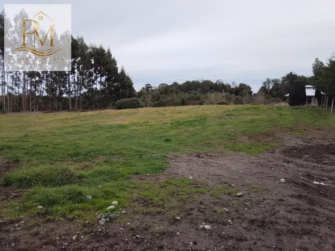 Se vende 1 Hectárea luz agua instalada Curaco de Vélez
