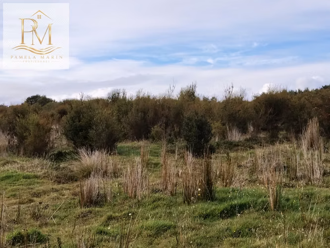 Se vende 16 Hás Isla Desertores Chaitén