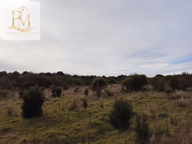 Se vende 16 Hás Isla Desertores Chaitén