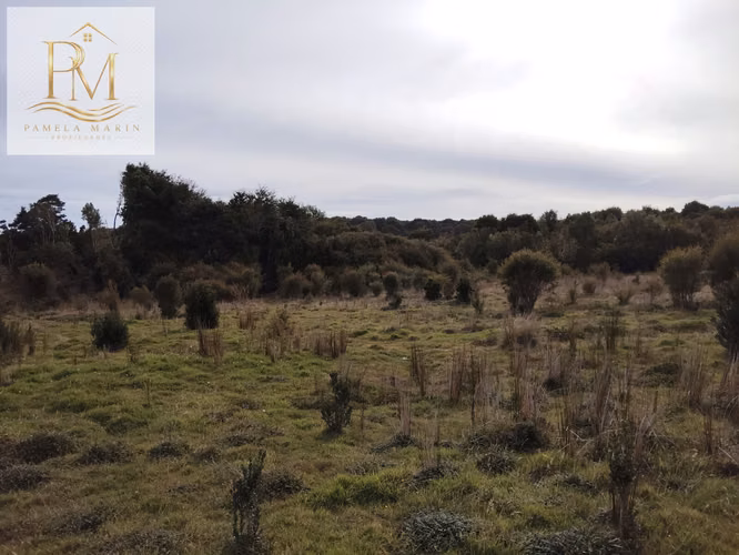 Se vende 16 Hás Isla Desertores Chaitén