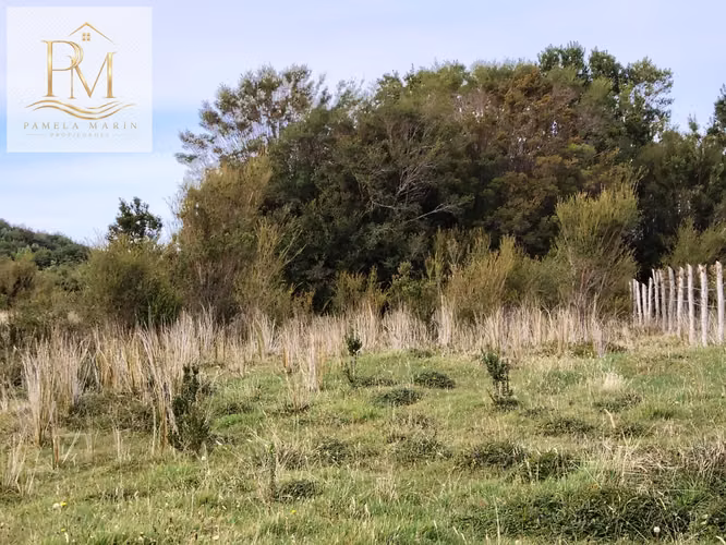 Se vende 16 Hás Isla Desertores Chaitén
