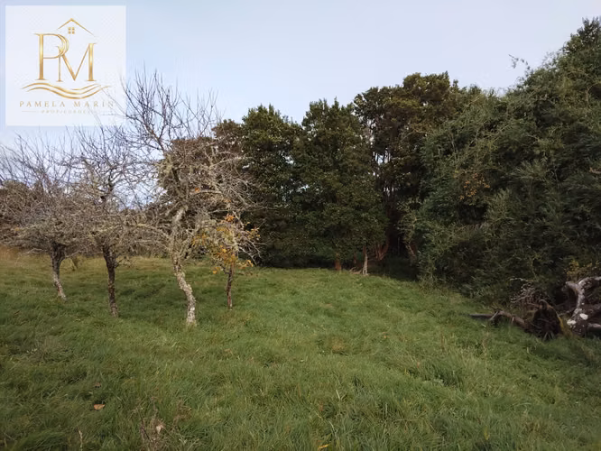 Se vende 16 Hás Isla Desertores Chaitén