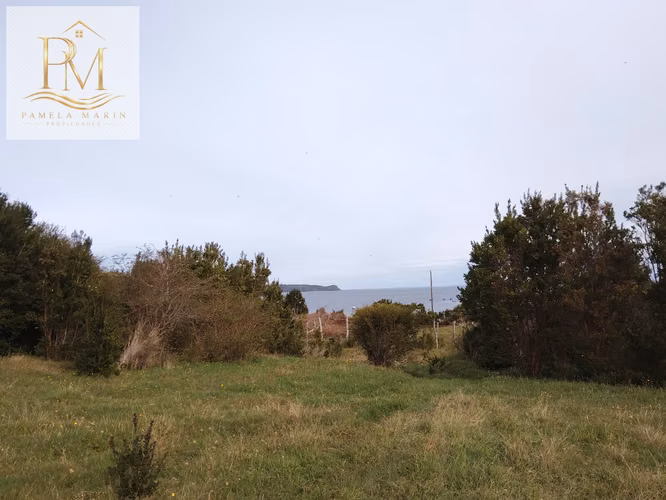 Se vende 16 Hás Isla Desertores Chaitén