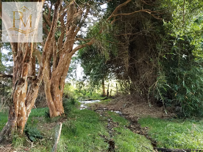 Se vende 16 Hás Isla Desertores Chaitén