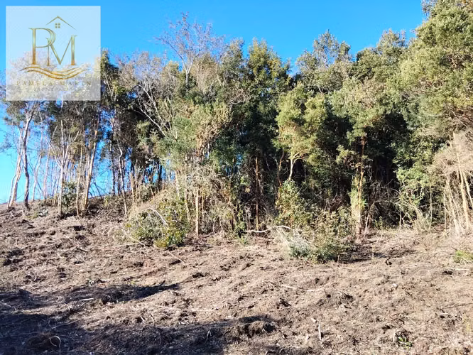 Oportunidad de inversión desde $28.000.000 Isla Quinchao