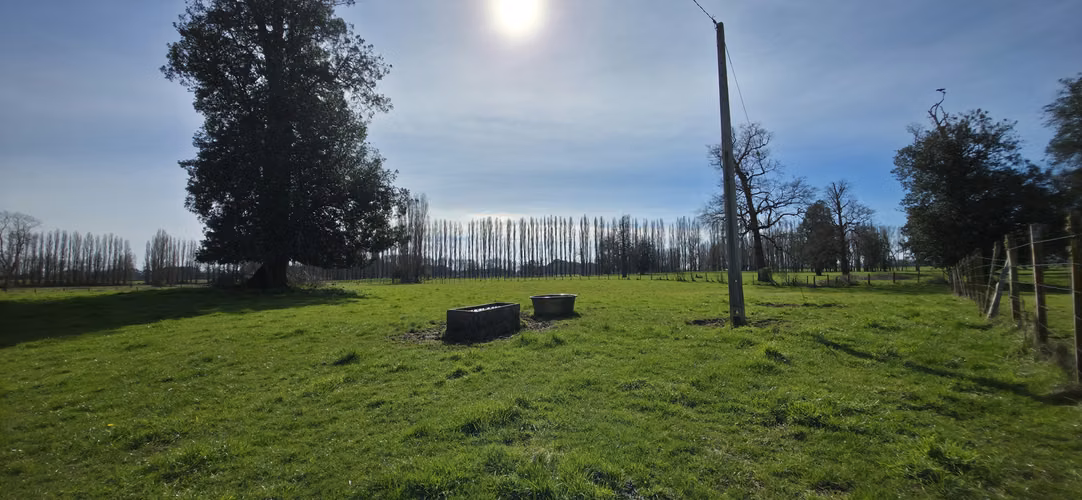 Terreno limpio 4,91 Ha. 5 min. San Pablo, 20 min Osorno