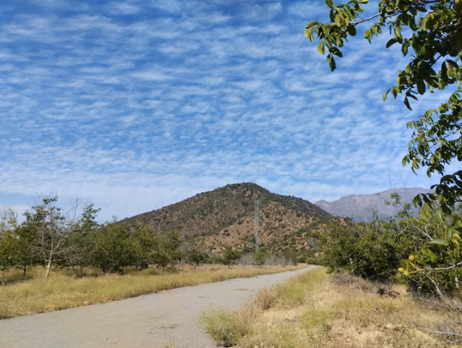 Hermosa Parcela De Agrado En San Fco. Mostazal - Imagen 7
