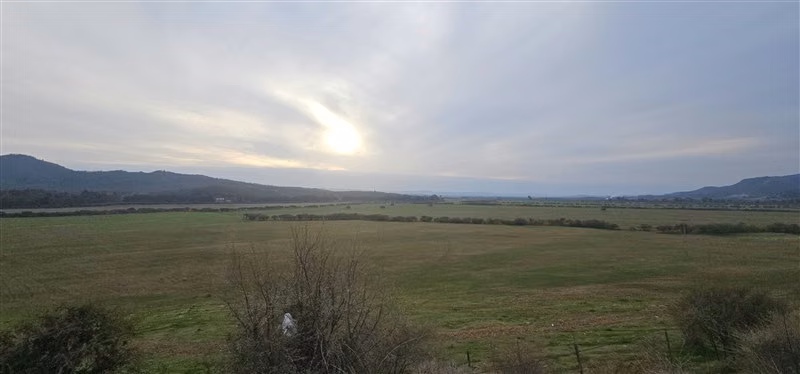 Parcela en venta en Hualañe - Imagen 13