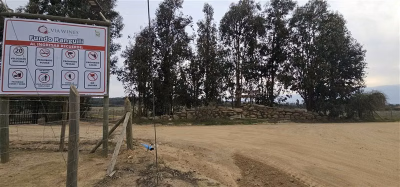 Parcela en venta en Hualañe - Imagen 8