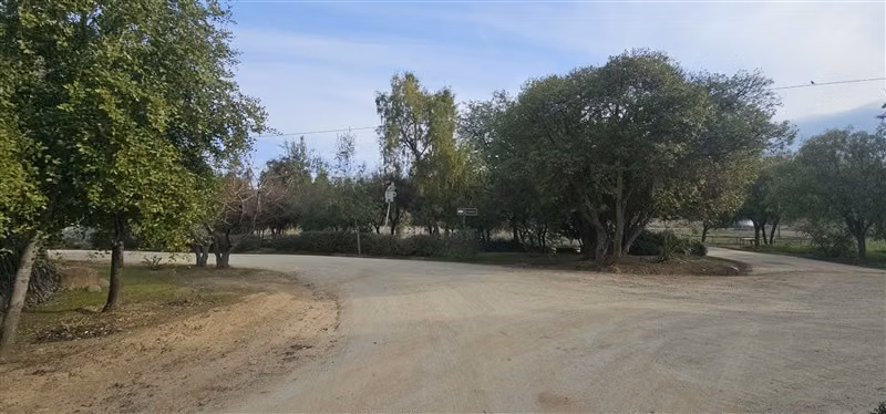 Parcela en venta en Hualañe - Imagen 3