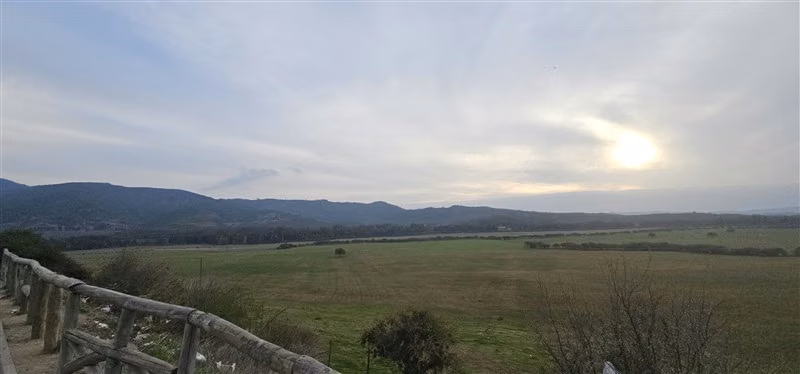 Parcela en venta en Hualañe - Imagen 12