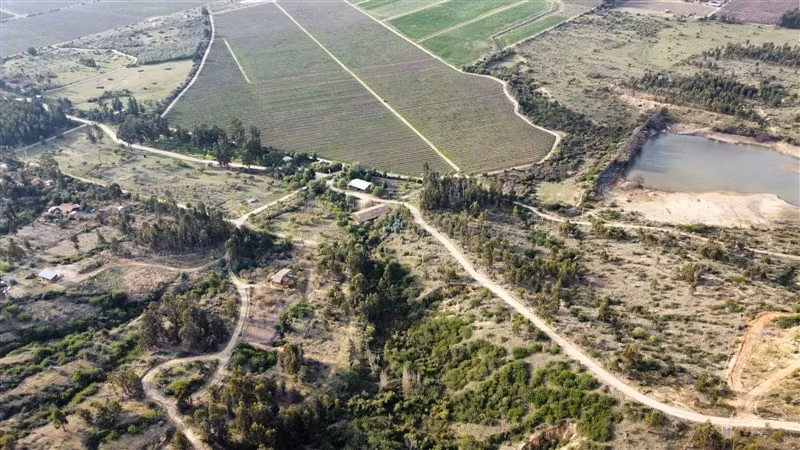Parcela en venta en Hualañe - Imagen 21