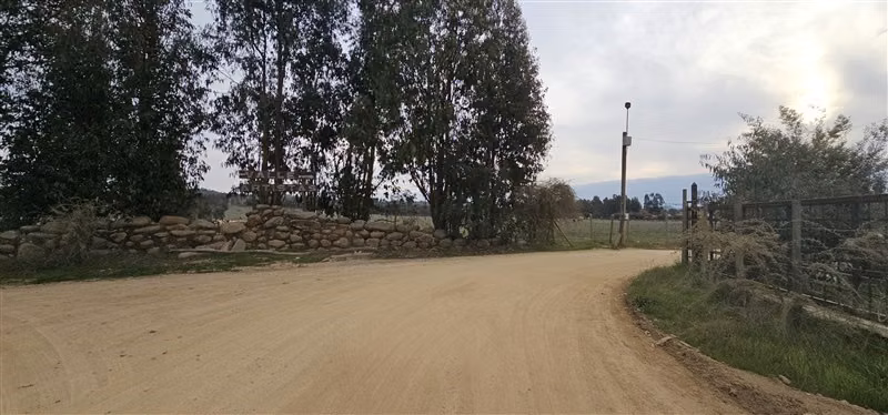 Parcela en venta en Hualañe - Imagen 6