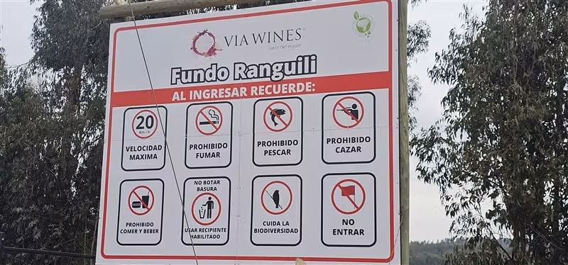 Parcela en venta en Hualañe - Imagen 7