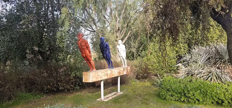 Parcela en venta en Hualañe - Imagen 2